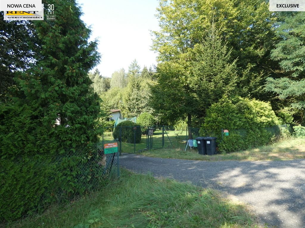 Działka inwestycyjna Tarnówko. Zdjęcie 5