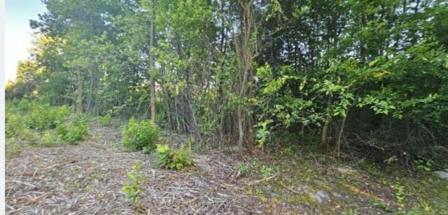 Działka budowlana Konstancin-Jeziorna. Zdjęcie 1