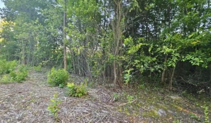 Działka budowlana Konstancin-Jeziorna