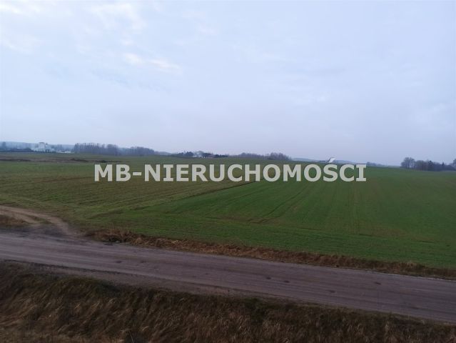 Działka inwestycyjna Królikowo. Zdjęcie 7