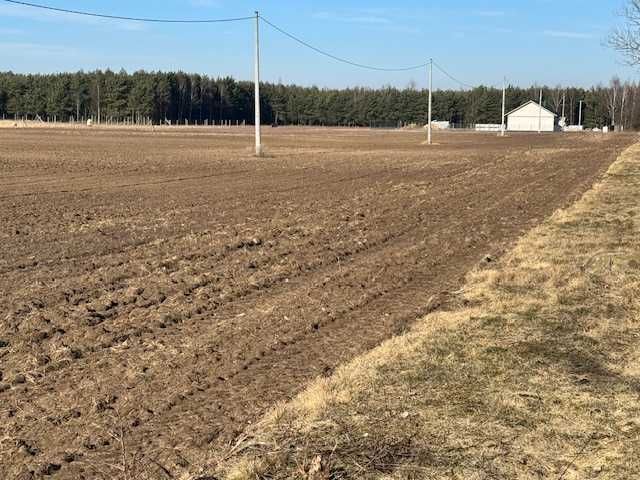 Działka budowlana Zbietka. Zdjęcie 5