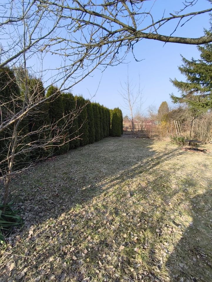 Działka rod Dąbrowica. Zdjęcie 7