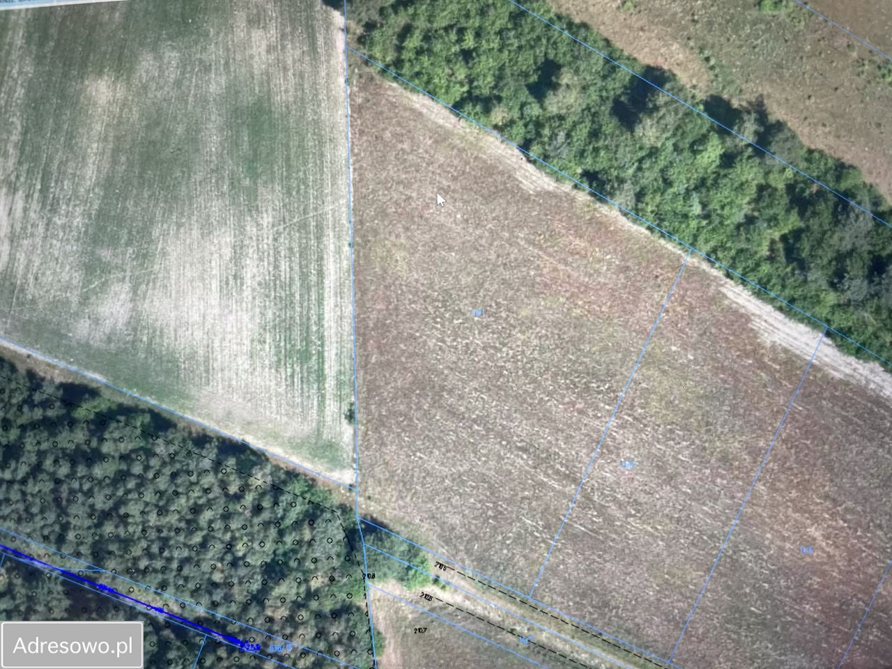 Działka budowlana Świerczek. Zdjęcie 4