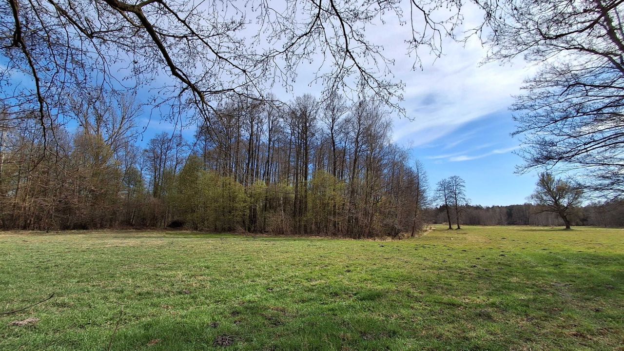 Działka budowlana Wólka. Zdjęcie 1