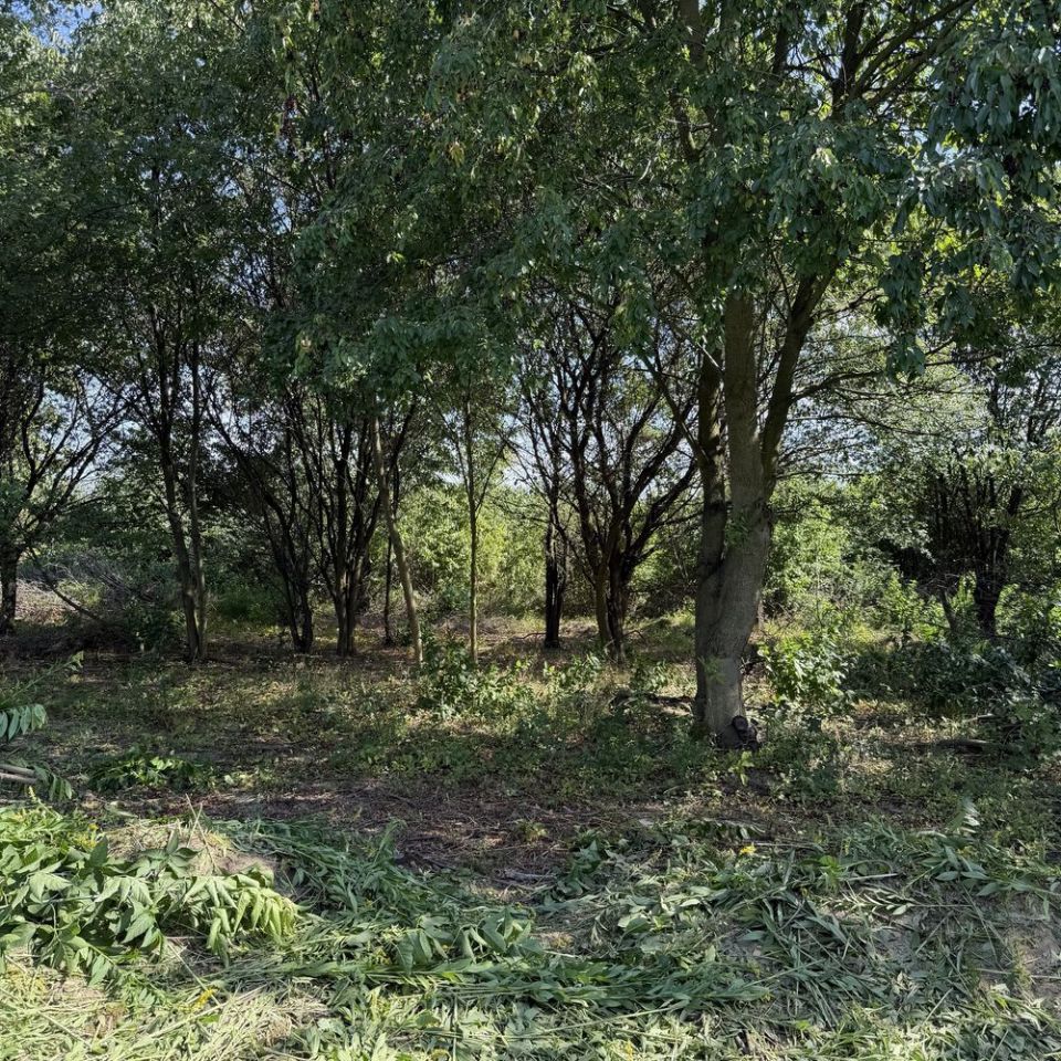 Działka na sprzedaż bez pośredników
ul. Klonowicza
Częstochowa Północ