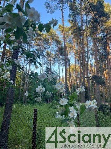 Działka rekreacyjna Władysławów. Zdjęcie 1