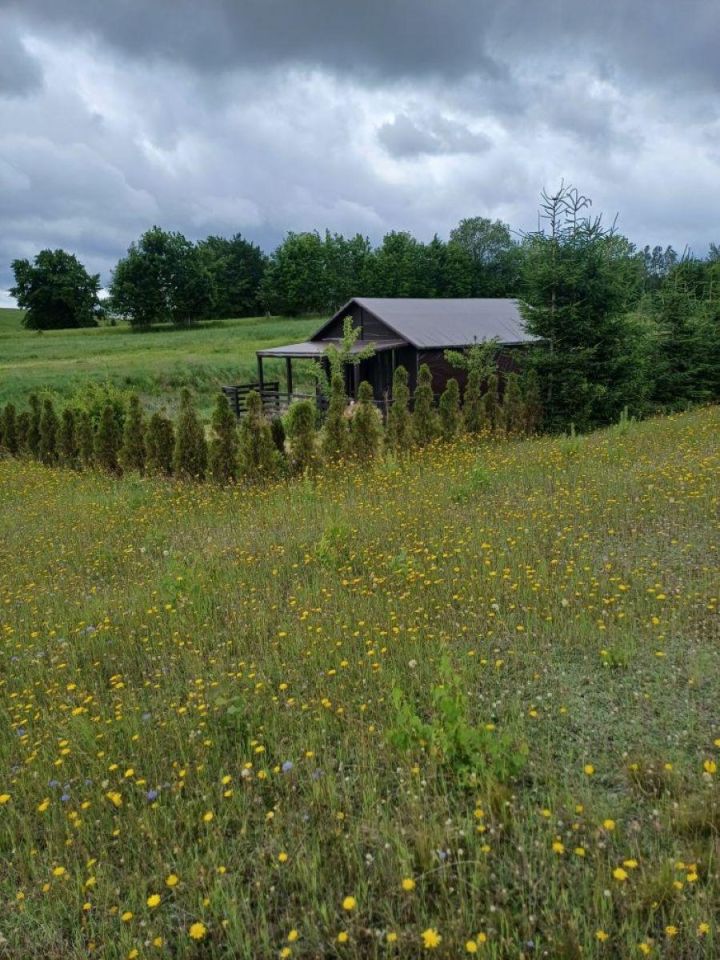 Działka budowlana Nowa Wieś Przywidzka, ul. Zielona. Zdjęcie 8