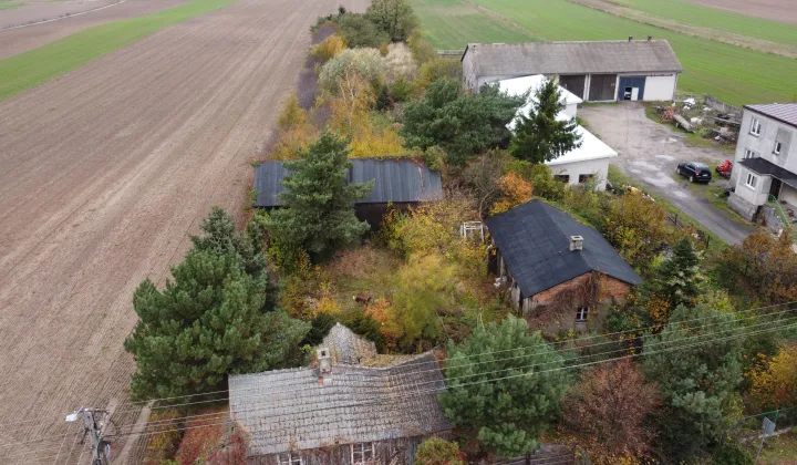 Działka rolno-budowlana Próchna