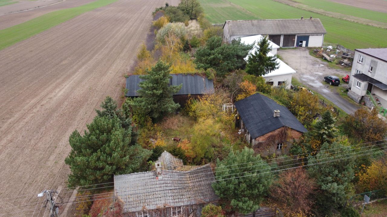 Działka rolno-budowlana Próchna. Zdjęcie 1