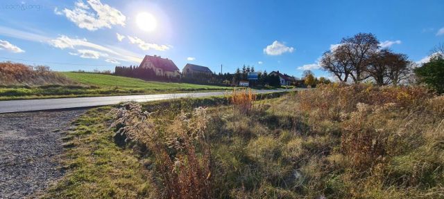 Działka rolno-budowlana Zamłynie. Zdjęcie 1