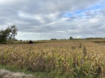 Działka budowlana Wielka Nieszawka, Nad potokiem. Zdjęcie 1
