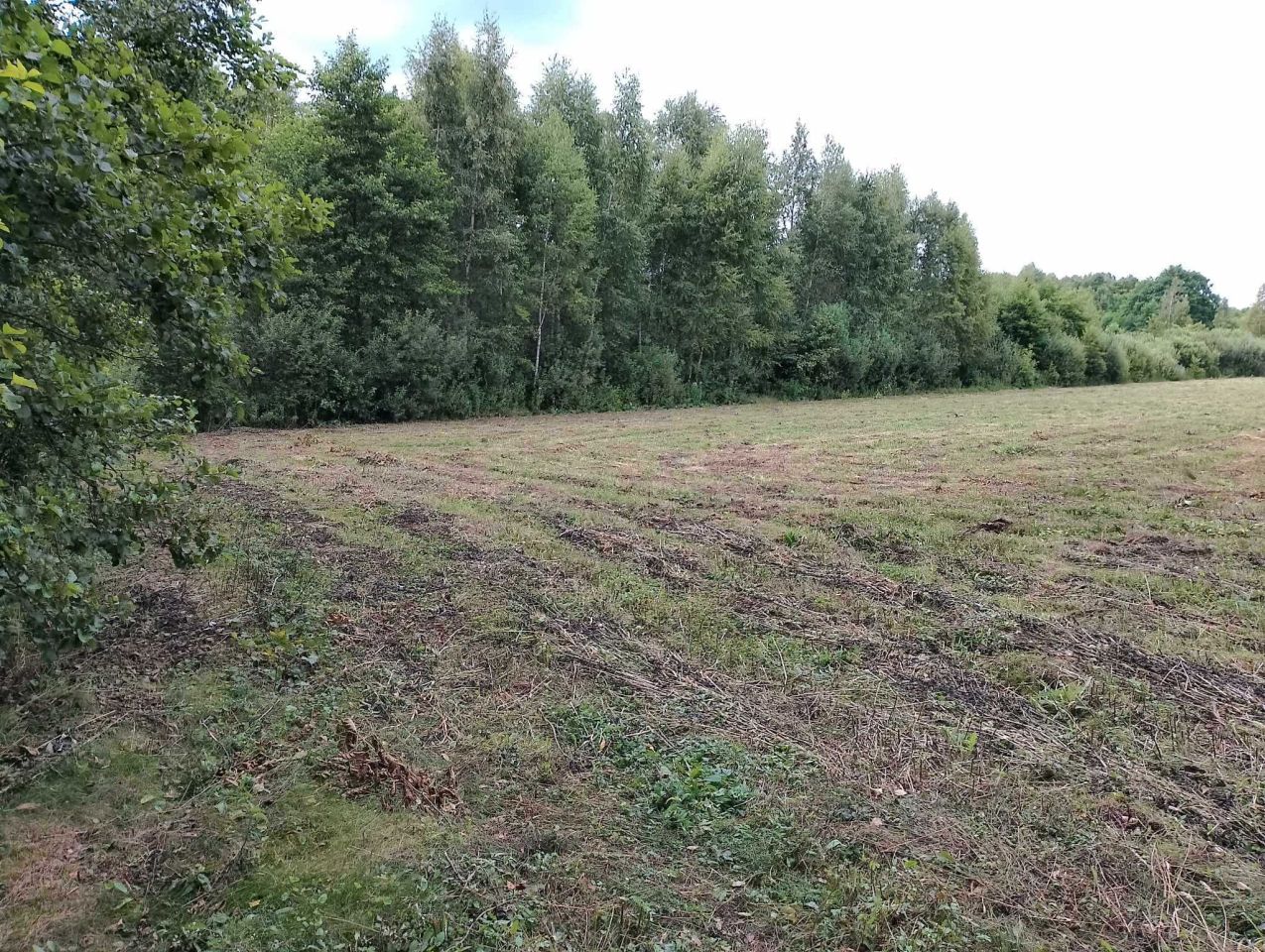 Działka rolna Tartak. Zdjęcie 4