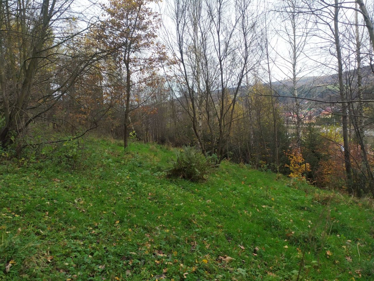 Działka rolna Osielec. Zdjęcie 2