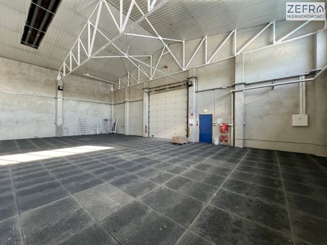 Hala/magazyn Babice. Zdjęcie 4