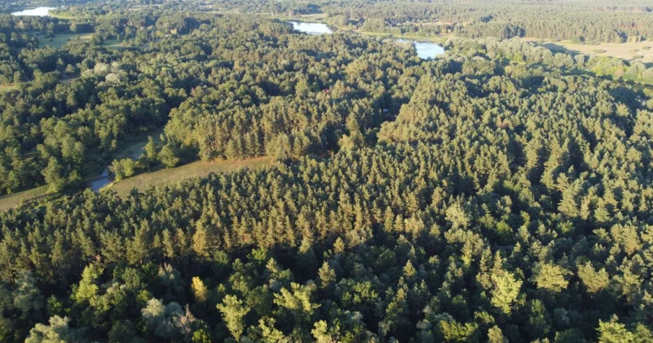 Działka rekreacyjna Podgać. Zdjęcie 4