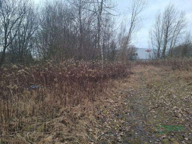 Działka Gliwice, ul. Starogliwicka. Zdjęcie 3