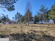 Działka budowlana Wyszewo. Zdjęcie 4