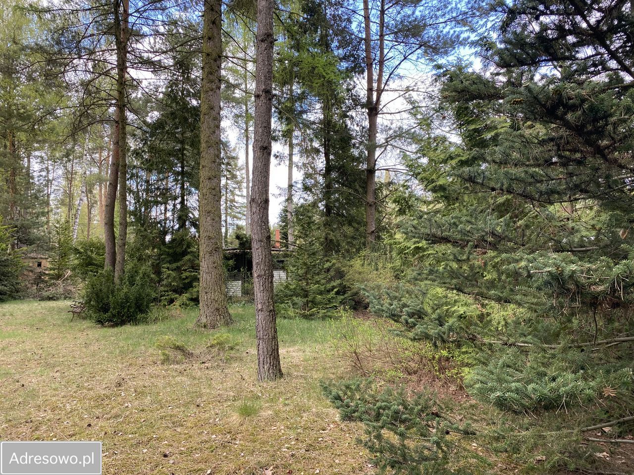 Działka budowlana Rokitnica. Zdjęcie 10