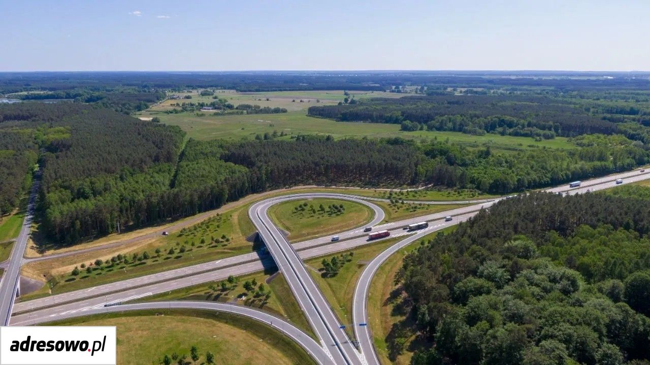 Działka inwestycyjna Lutol Mokry. Zdjęcie 9