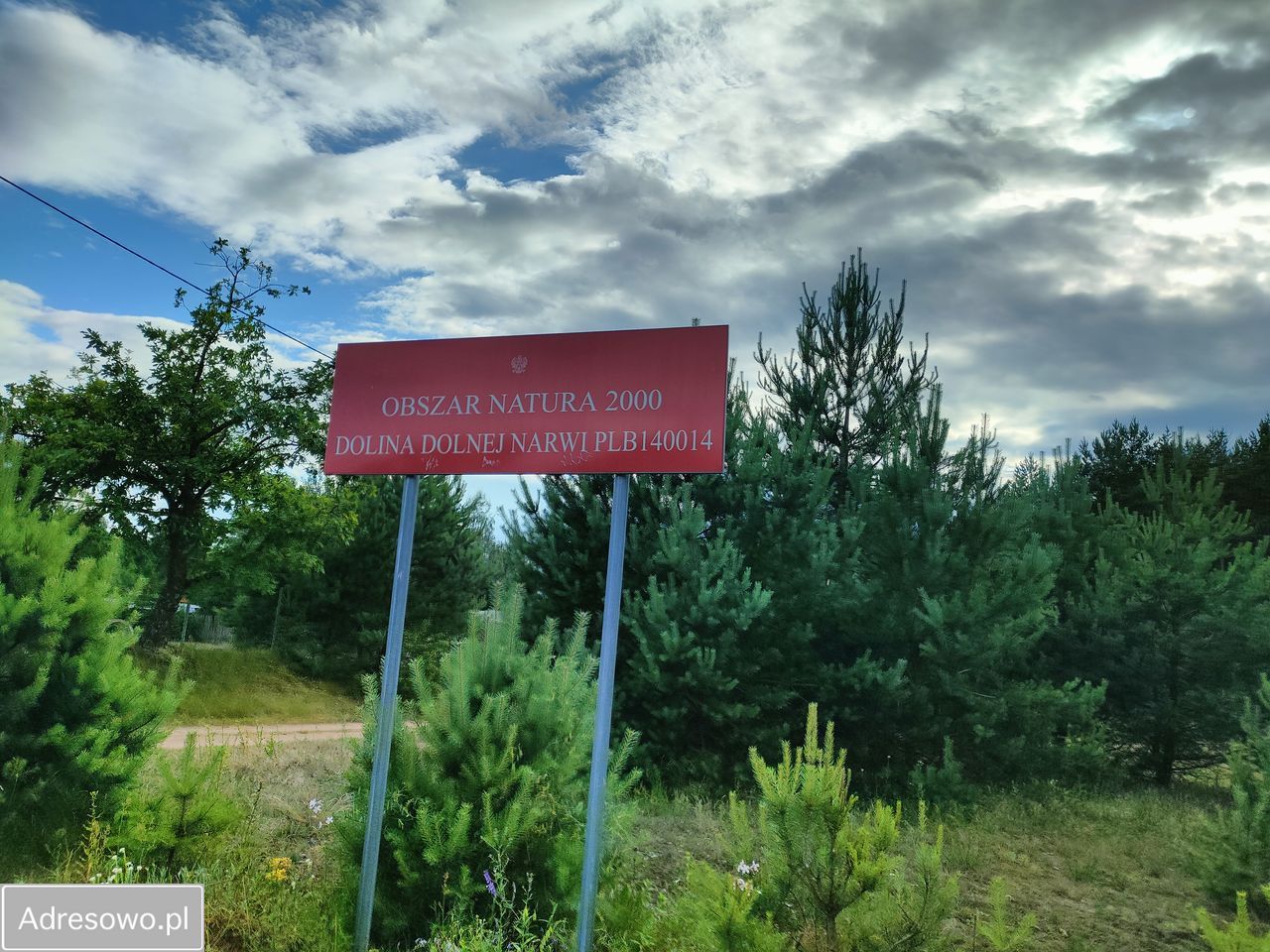 Działka Michałowo. Zdjęcie 3