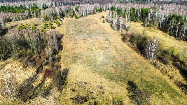 Działka rolna Stare Budy Radziejowskie. Zdjęcie 5