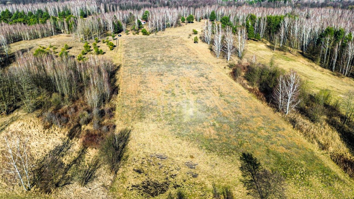 Działka rolna Stare Budy Radziejowskie. Zdjęcie 5