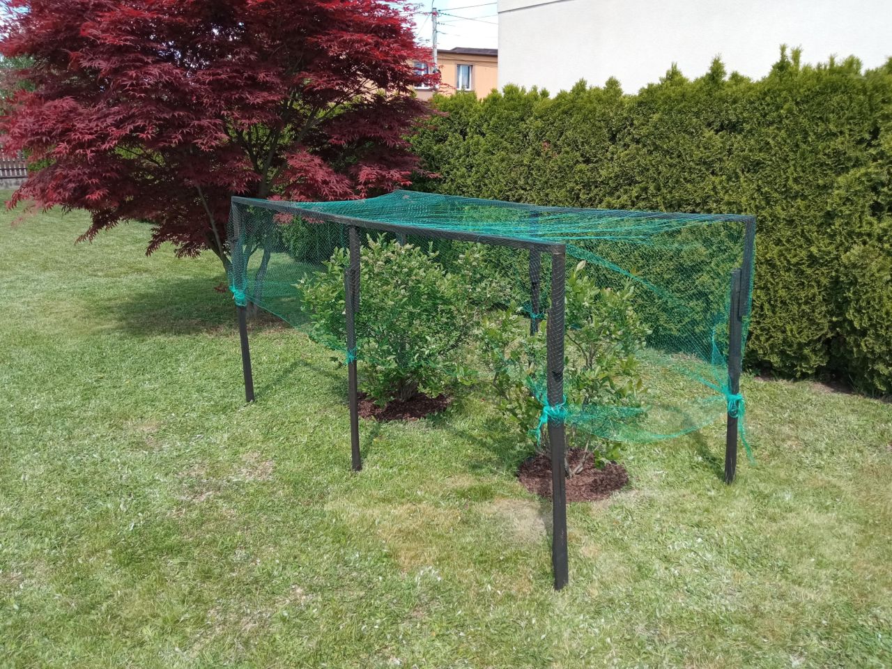 Działka budowlana Chełm Śląski, ul. Odrodzenia. Zdjęcie 5