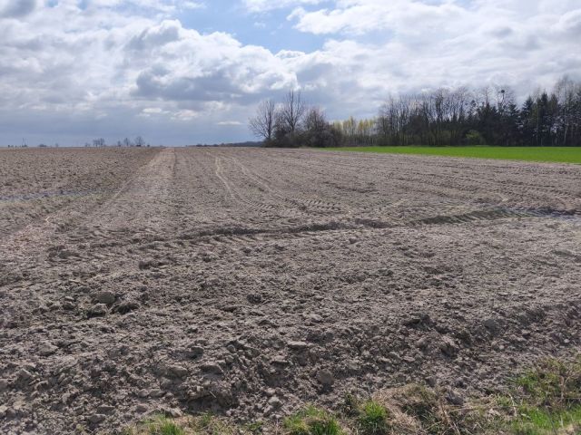 Działka rolno-budowlana Niwki. Zdjęcie 1