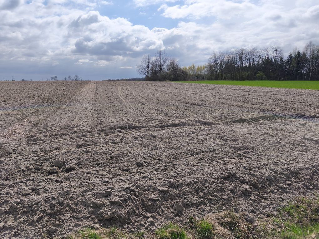 Działka rolno-budowlana Niwki. Zdjęcie 1