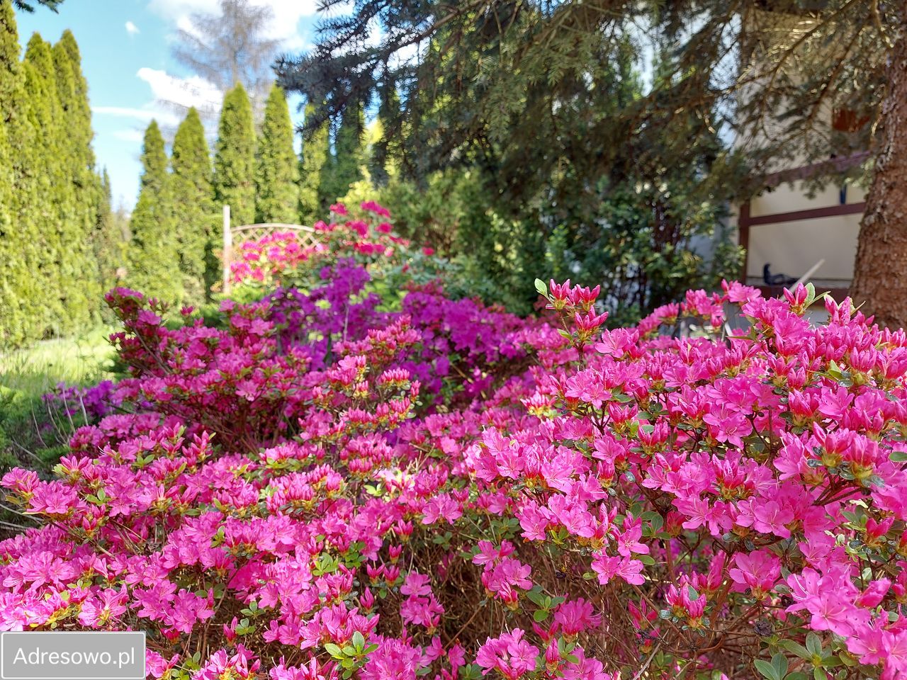 Działka rod Krępa, ul. Długa. Zdjęcie 12