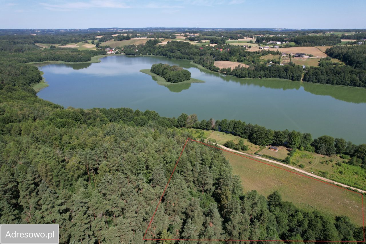 Działka rekreacyjna Stężyca. Zdjęcie 3