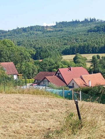 Działka budowlana Wojciechowice. Zdjęcie 1
