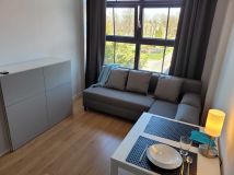 Mieszkanie 1-pokojowe Wrocław Psie Pole, ul. Bierutowska. Zdjęcie 3