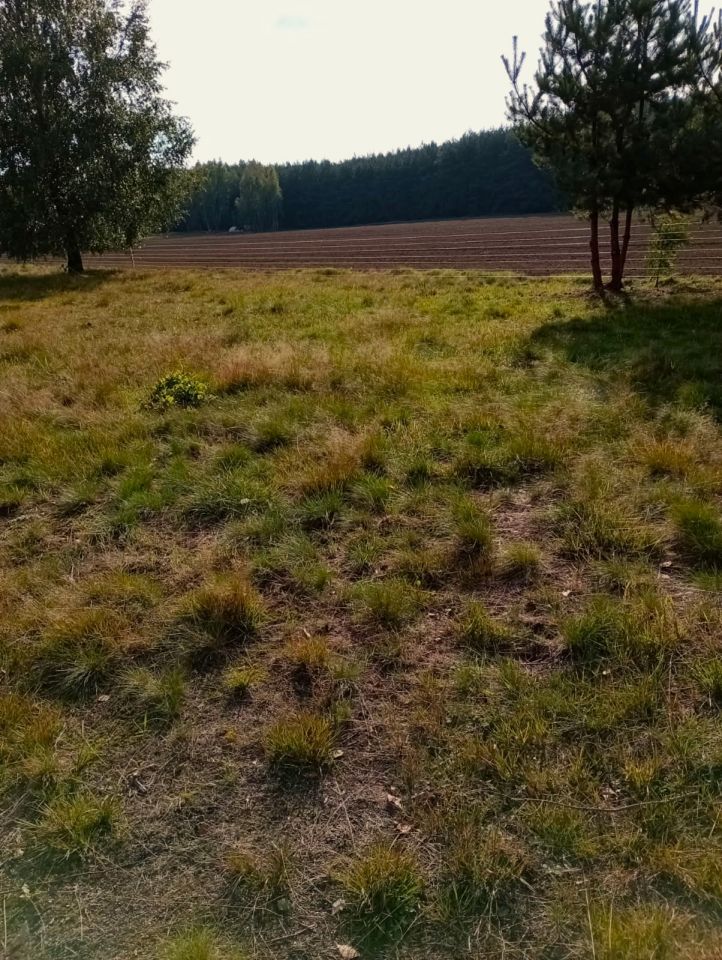 Działka rolno-budowlana Malenia. Zdjęcie 5