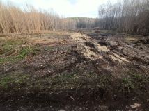 Działka budowlana Kołacin. Zdjęcie 2