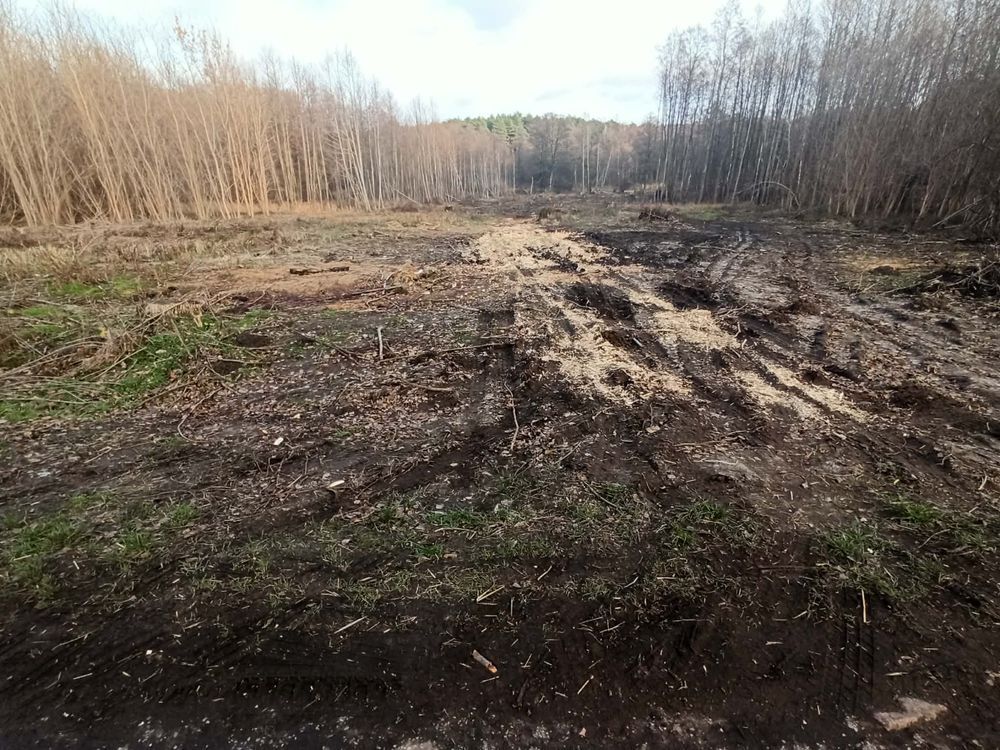 Działka budowlana Kołacin. Zdjęcie 3