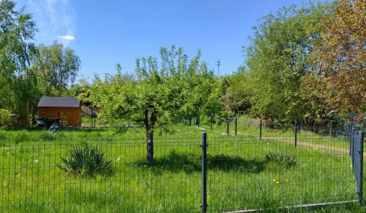 Działka rod Miłosław