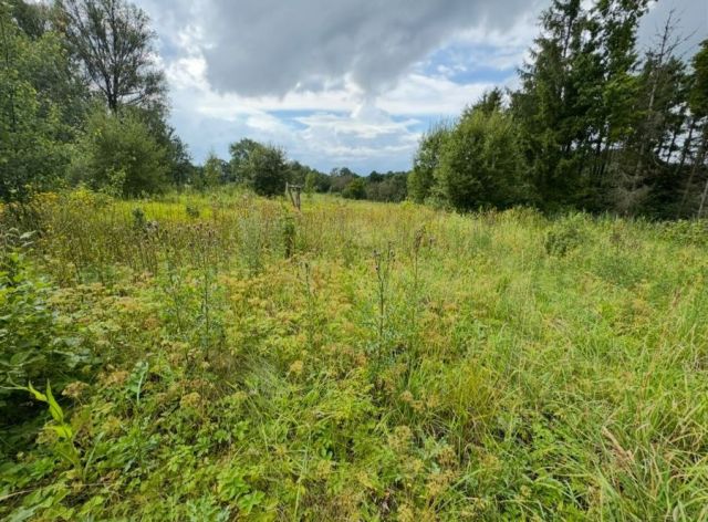 Działka budowlana Łapalice, os. Grabowiny. Zdjęcie 1