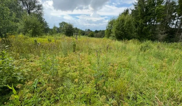 Działka budowlana Łapalice, os. Grabowiny