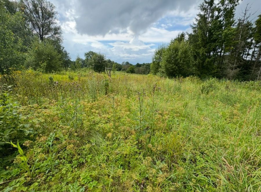 Działka budowlana Łapalice, os. Grabowiny. Zdjęcie 1