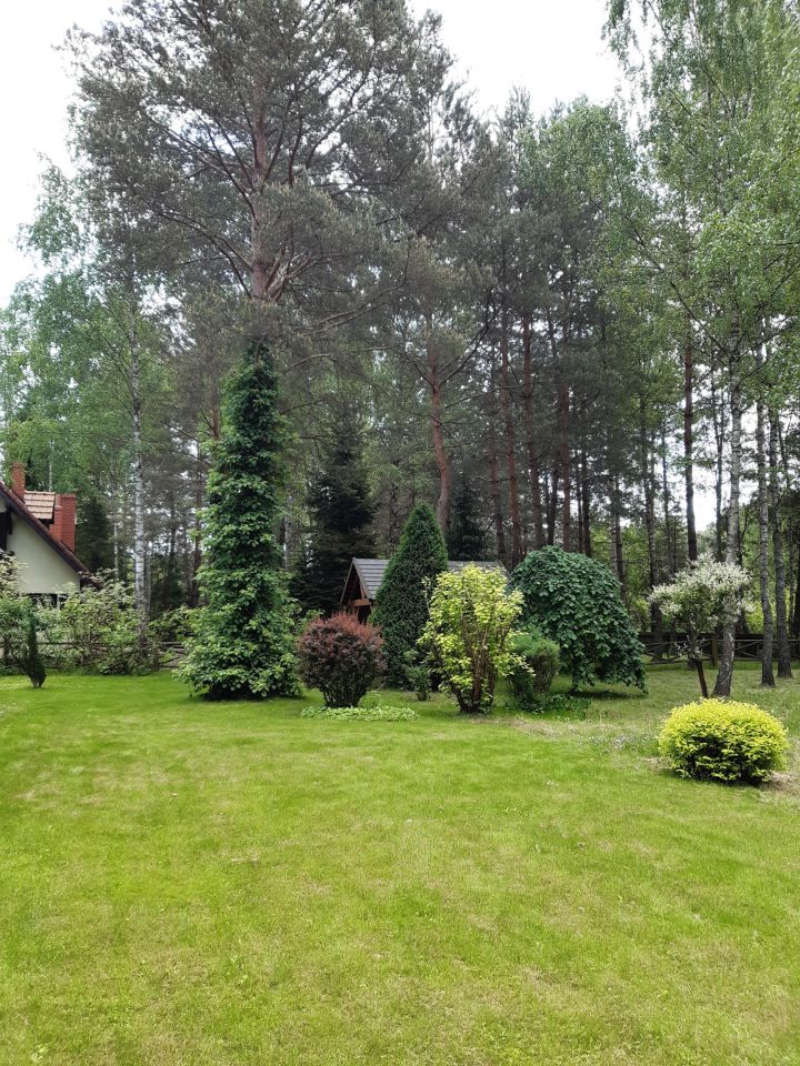 dom letniskowy, 4 pokoje Ciekoty Parcela. Zdjęcie 9