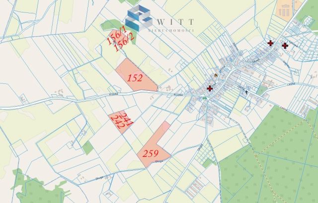 Działka rolna Liwa. Zdjęcie 17