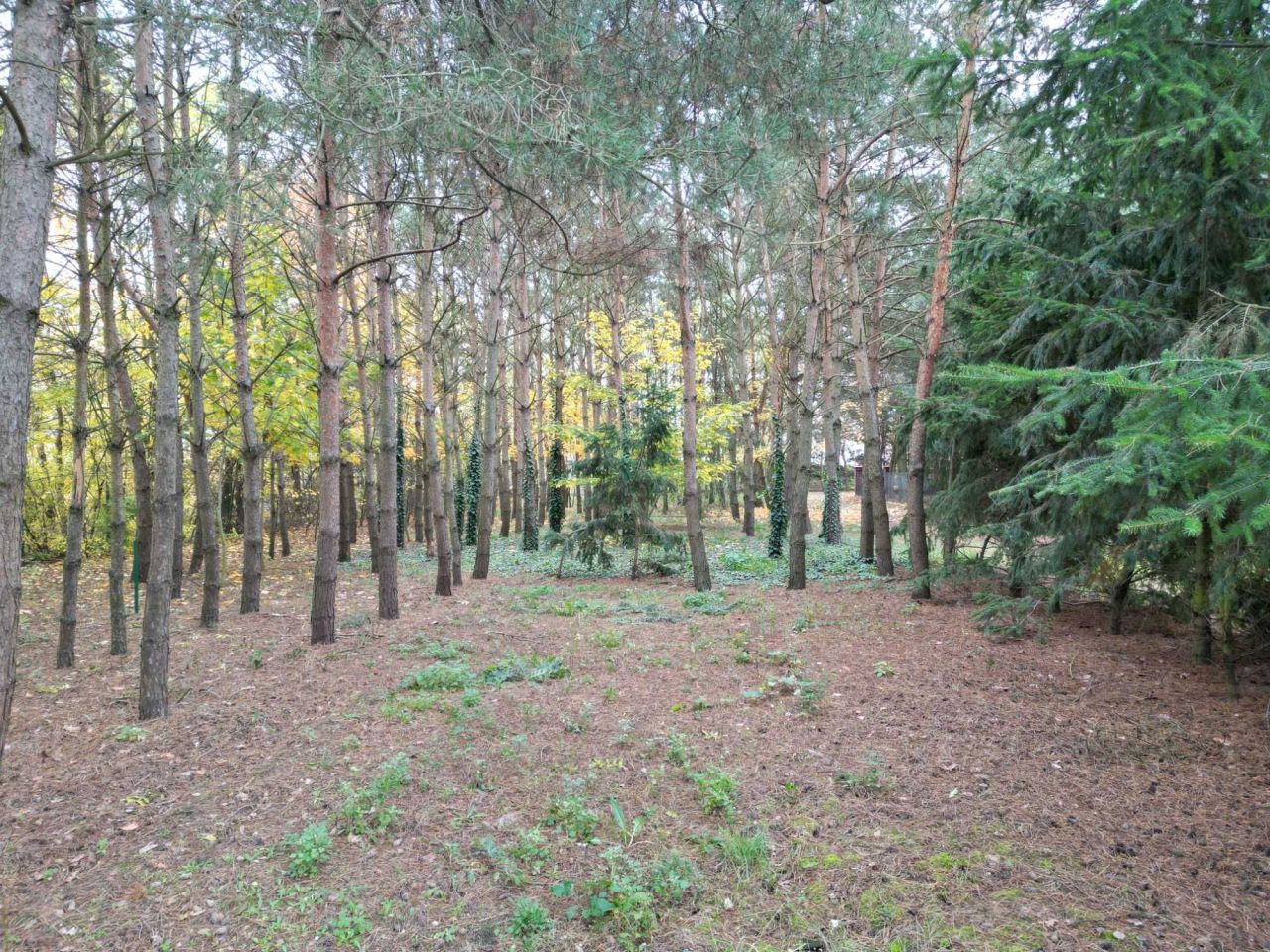 dom wolnostojący, 3 pokoje Żabno. Zdjęcie 8