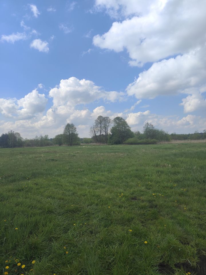 Działka rolno-budowlana Gadka, ul. Letniskowa. Zdjęcie 2