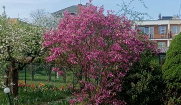 Działka rod Iława, ul. Władysława Reymonta