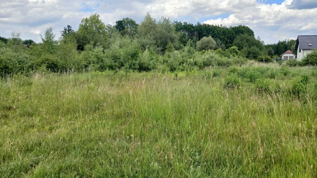 Działka budowlana Olbrachtów. Zdjęcie 4