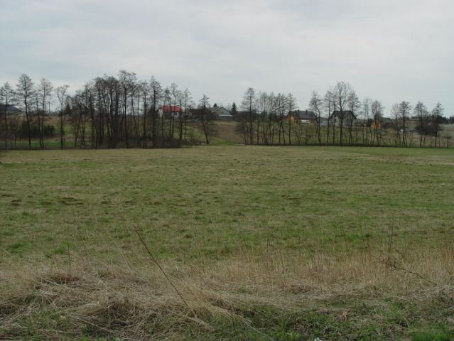 Działka rolno-budowlana Zamłynie. Zdjęcie 1