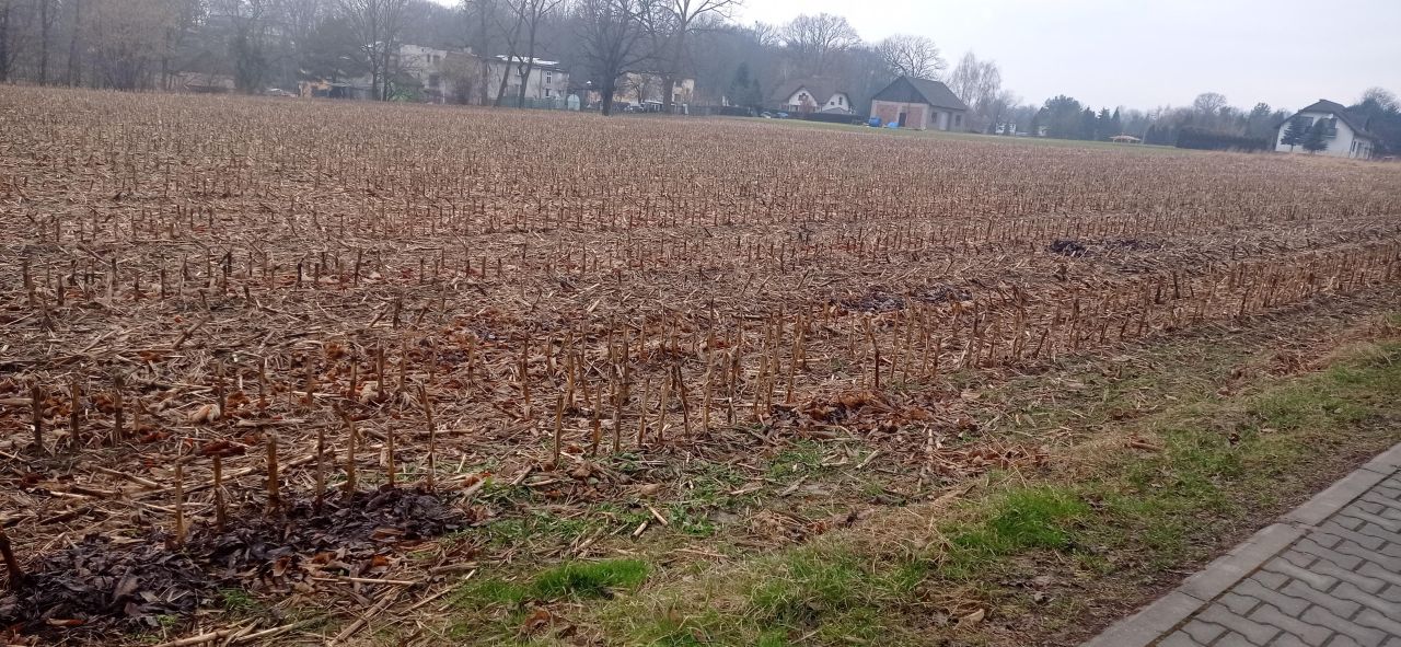 Działka budowlana Rudołtowice, ul. Wincentego Witosa. Zdjęcie 6