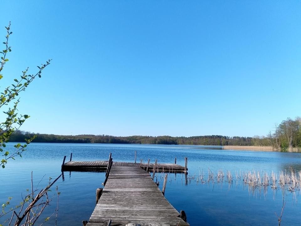 Działka rolna Donatowo. Zdjęcie 9