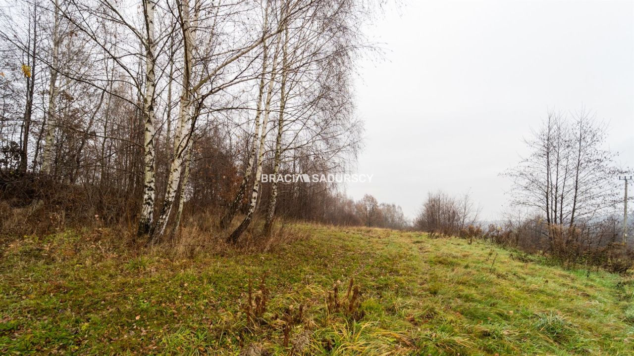 Działka rolno-budowlana Podstolice. Zdjęcie 16